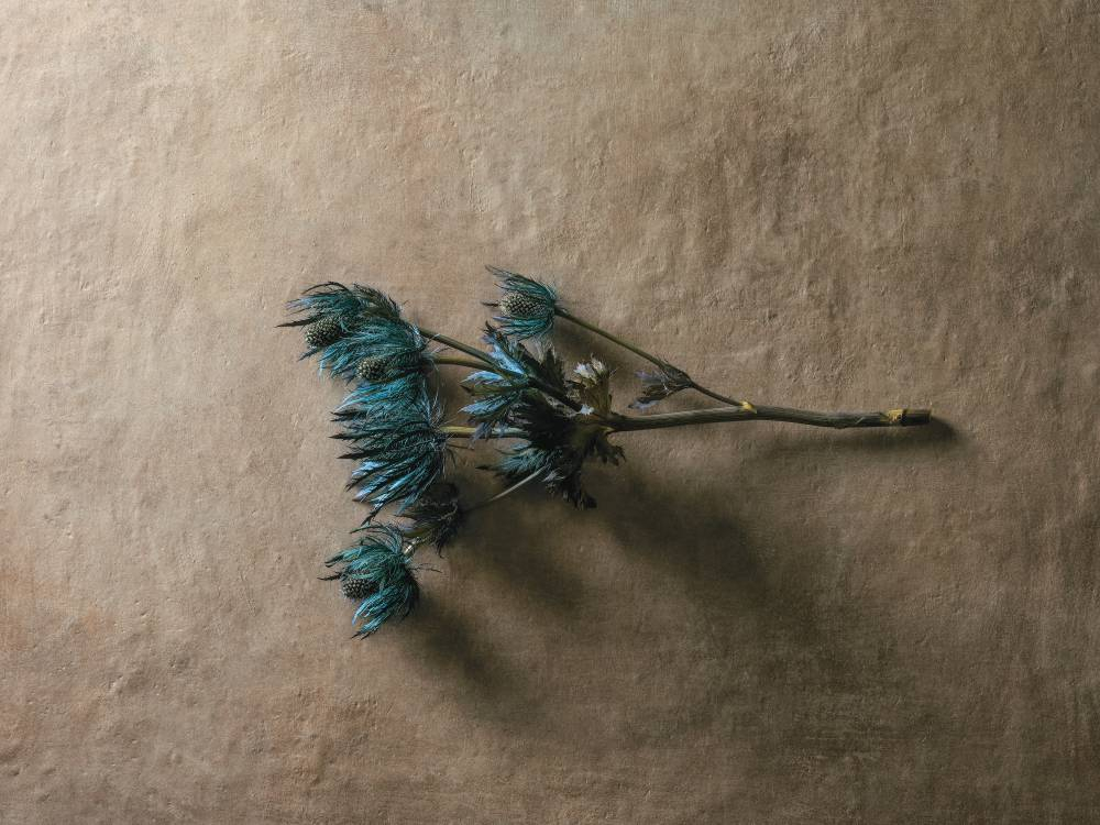 affrescati-terra-emozionale-02