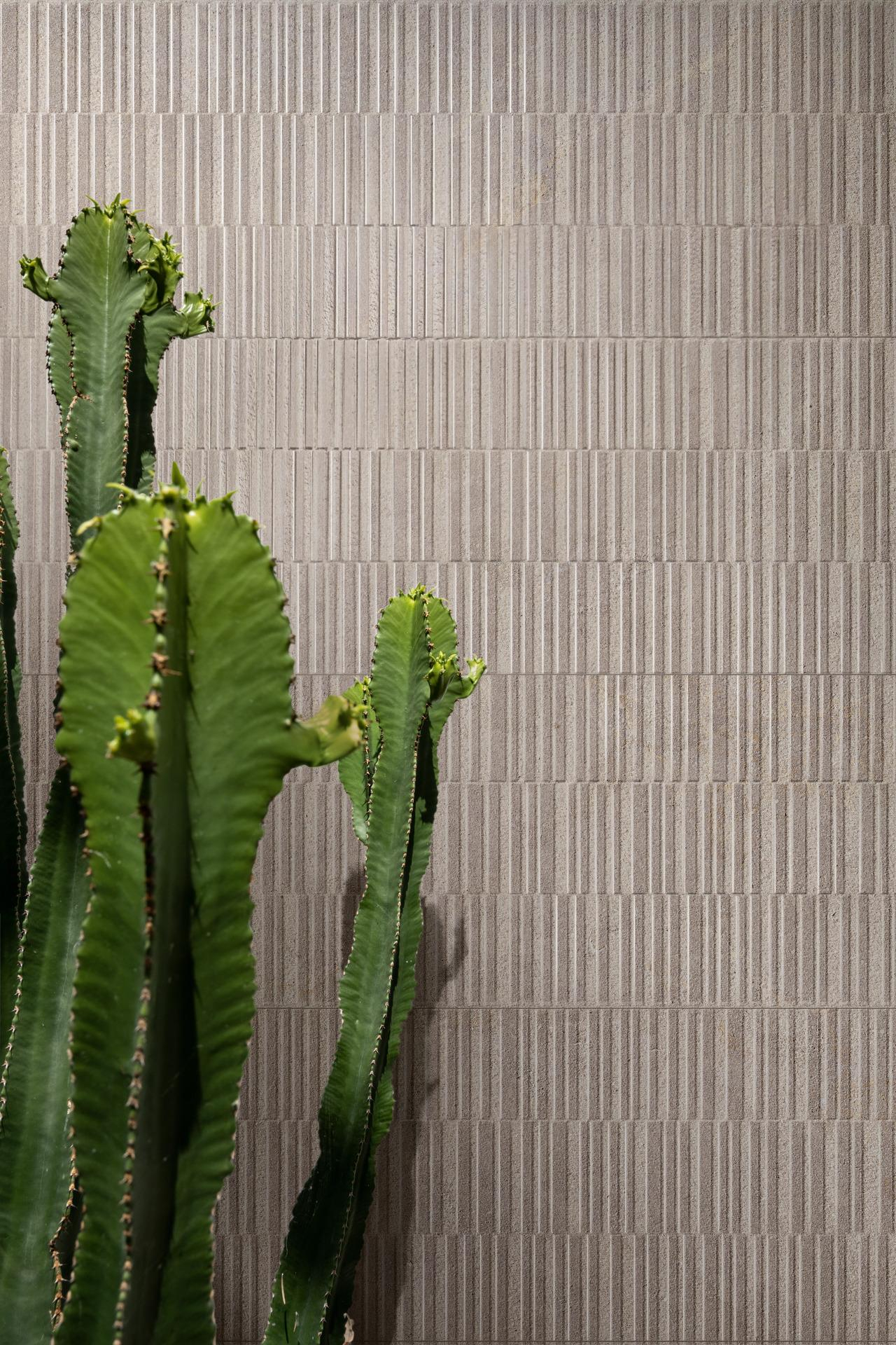 marazzi-naturalia-019-jpg-1920x0-q75-crop